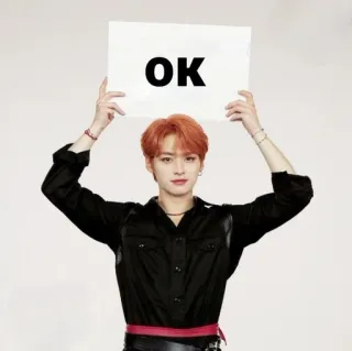 👍 a3ef2c9c OK ok, approvazione, accordo, Kpop, Stray Kids, Lee Know, Minho telegram sticker