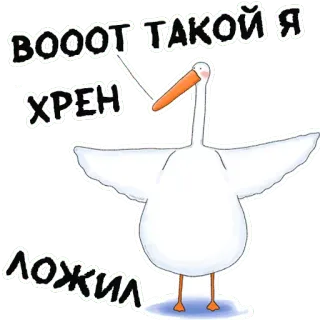 🤣 b71e823d ВОООТ ТАКОЙ Я ХРЕН ЛОЖИЛ uccello, oca, offensivo, russo, testo whatsapp sticker