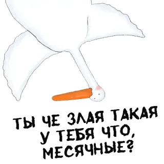😰 e14b6187 ТЫ ЧЕ ЗЛАЯ ТАКАЯ У ТЕБЯ ЧТО, МЕСЯЧНЫЕ? cigno, offensivo, slang, animale whatsapp sticker