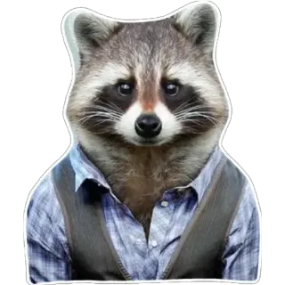 👔 1ad71b35 Waschbär, Tier, anthropomorph, niedlich, Aufkleber, Fell, Kleidung telegram sticker