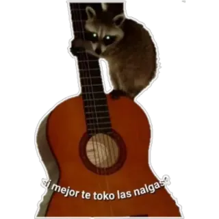 🎸 313f622c Si mejor te toko las nalgas? Waschbär, Gitarre, Tier, Musik, lustig, Text telegram sticker