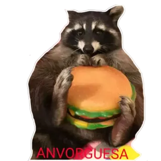 🍔 3653c6a9 ANVORGUESA Waschbär, Burger, Tier, Essen, Süß, Lustig telegram sticker