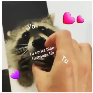 💖 629d81e8 Yo
Tu carita bien hermosa bb
Tu Waschbär, Herz, süß, entzückend, Tier, Haustier, Liebe, spanisch telegram sticker