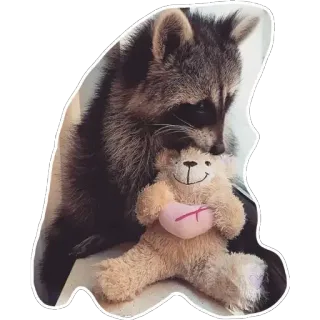 🧸 d21d7121 Waschbär, Teddybär, Tier, süß, Freundschaft, Herz, Spielzeug telegram sticker