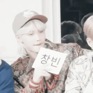 🦙 025f5180 창빈 เกาหลี, คน, ป้าย, ชางบิน, ไอดอล, เพลง telegram sticker