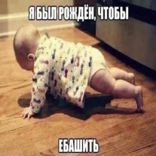 💪 04be898d Я БЫЛ РОЖДЁН, ЧТОБЫ ЕБАШИТЬ baby, pushups, russian, text, humor, exercise telegram sticker