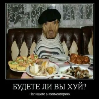 ☺️ 26f1652e БУДЕТЕ ЛИ ВЫ ХУЙ? dog, food, russian, offensive telegram sticker