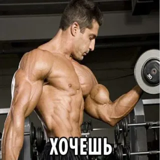 🤓 4c46f8f5 ХОЧЕШЬ fitness, gym, workout, bodybuilding, motivation, exercise, strong telegram sticker