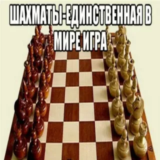😟 516fdd45 ШАХМАТЫ-ЕДИНСТВЕННАЯ В МИРЕ ИГРА chess, game, strategy, board game telegram sticker