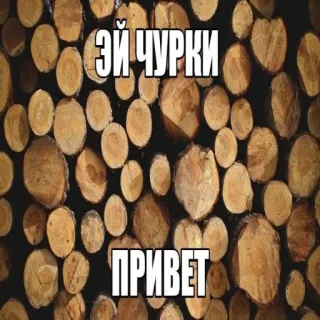 😱 5624c34b ЭЙ ЧУРКИ
ПРИВЕТ offensive, slur, russian, wood, logs telegram sticker