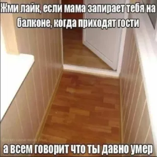 🙈 697d6122 Жми лайк, если мама запирает тебя на
балконе, когда приходят гости
а всем говорит что ты давно умер balcony, humor, mother, funny, meme telegram sticker