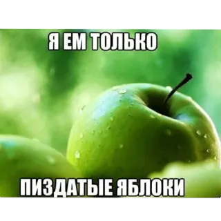 🍏 8e589a44 Я ЕМ ТОЛЬКО
ПИЗДАТЫЕ ЯБЛОКИ apple, food, fruit, text, russian telegram sticker