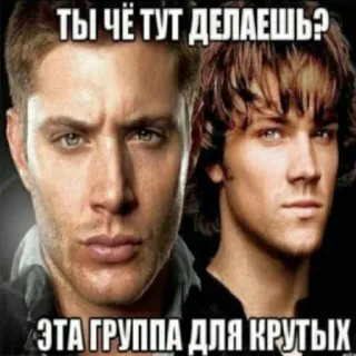 🖕 ac8a6034 ТЫ ЧЁ ТУТ ДЕЛАЕШЬ?
ЭТА ГРУППА ДЛЯ КРУТЫХ dean winchester, sam winchester, supernatural, tv show, meme, russian, text telegram sticker