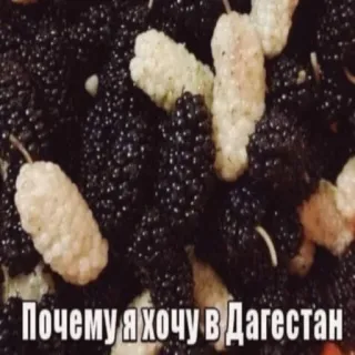 АХАХАХАХА хуета @EtoHueta whatsapp stickers