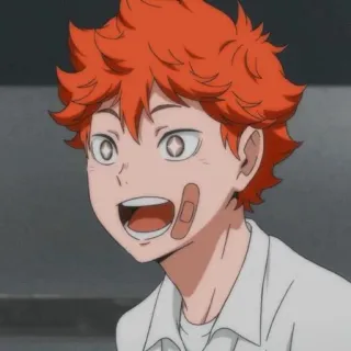 🤩 2ddf5666 Hinata Shoyo Haikyuu!! anime, character, happy, smile telegram sticker