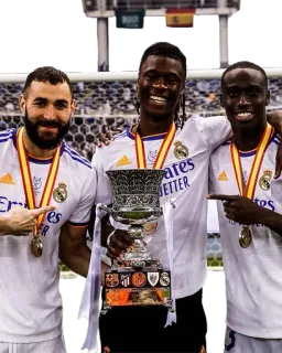 🇫🇷 49930dc6 soccer, football, sports, trophy, players, team, real madrid whatsapp sticker