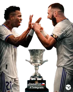 🧑‍🦱 9fd4fb3f @azul731 #Telegram soccer, football, players, team, trophy whatsapp sticker