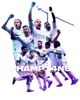 🏆 c643650e CHAMP14NS soccer, football, champions, team, celebration whatsapp sticker