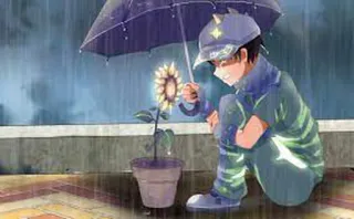 😭 ef95bf42 애니메이션, 비, 슬픈, 소년, 해바라기 telegram sticker