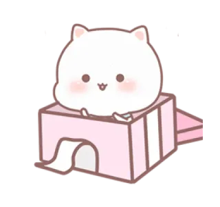 💗 9a21165b kucing, imut, binatang, anak kucing, kotak, hewan peliharaan whatsapp sticker