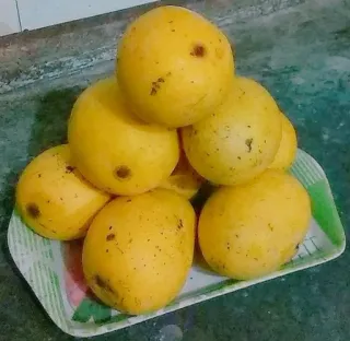 🥭 a0ad0fef xoài, trái cây, vàng, thức ăn, khay telegram sticker