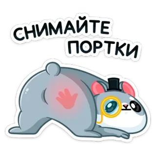 🍑 a53e6444 снимайте портки 햄스터, 만화, 뺨, 웃긴, 동물, 모자, 외알안경 telegram sticker