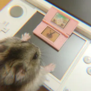 ✨ 2528ca2f hamster, 3DS, hewan, video game, imut, hewan peliharaan telegram sticker
