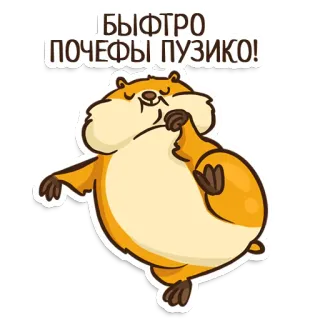 😌 6bb627a1 БЫСТРО ПОЧЕШИ ПУЗИКО! ハムスター, かわいい, 動物, ペット, お腹, ひっかく, 面白い telegram sticker