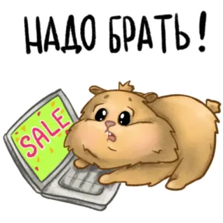 🛒 806992a6 НАДО БРАТЬ! hamster, sale, shopping, cute, animal, computer telegram sticker