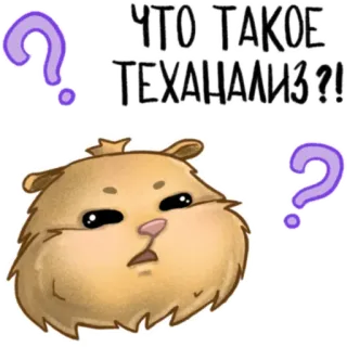 ⁉️ b9bcbae7 ЧТО ТАКОЕ ТЕХАНАЛИЗ?! hamster, question, technical analysis, finance, confused, doubt, investment telegram sticker