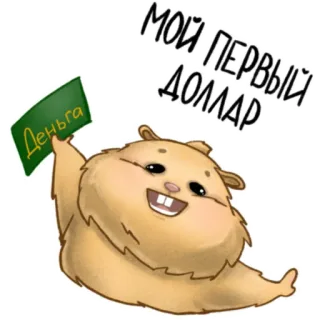 💰 e9a445e3 МОЙ ПЕРВЫЙ ДОЛЛАР hamster, money, first dollar, currency, animal telegram sticker