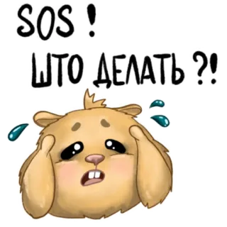 🆘 ed3527fc SOS!
ЧТО ДЕЛАТЬ?! distress, help, question, bunny, animal, sad telegram sticker