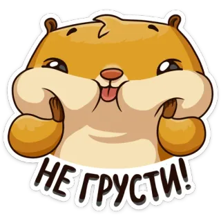 😊 ba7b76da НЕ ГРУСТИ! хомяк, милый, мультяшный, смешной, животное, выражение, позитивный, подбодрить telegram sticker