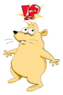 ⁉️ e62d8e2f 卡通, 老鼠, 动物, 问号, 感叹号, 黄色 whatsapp sticker