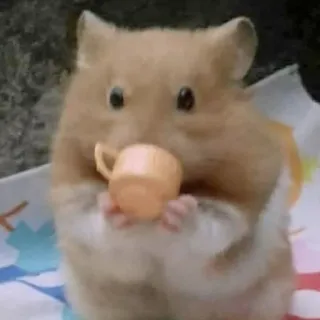 ☕️ 9e672fd9 hamster, tasse, trinken, süß, tier telegram sticker
