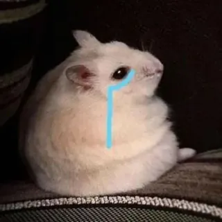😢 e1042334 Hamster, weinen, traurig, Tränen, süß, Tier telegram sticker