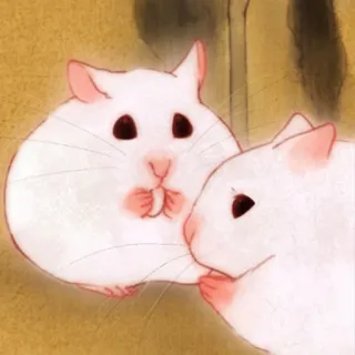 🐹 01e2fb8f แฮมสเตอร์, น่ารัก, สัตว์, สัตว์ฟันแทะ, สัตว์เลี้ยง, ขาว telegram sticker