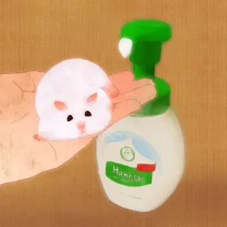 🐹 51aafca1 Hamnes แฮมสเตอร์, สัตว์, สบู่, น่ารัก, ภาพประกอบ telegram sticker