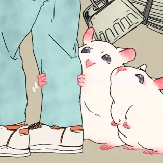 🐹 8f42732b แฮมสเตอร์, น่ารัก, สัตว์, สีขาว, สัตว์ฟันแทะ telegram sticker