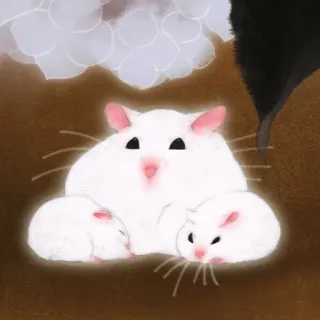 🐹 b724c8ec แฮมสเตอร์, สัตว์, น่ารัก, สัตว์เลี้ยง, สัตว์ฟันแทะ, ขาว telegram sticker