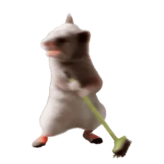 🧹 771760ef หนู, ม็อบ, ทำความสะอาด, ตลก, สัตว์, สัตว์ฟันแทะ telegram sticker
