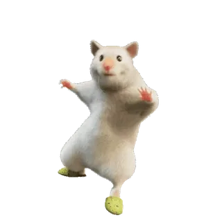 🕺 b555d4cf แฮมสเตอร์, น่ารัก, สัตว์, หนู, รองเท้า, ตลก telegram sticker