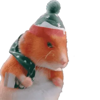 🐹 b5feb358 แฮมสเตอร์, ฤดูหนาว, สัตว์, หมวก, น่ารัก telegram sticker