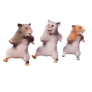 🕺 cc40be2a แฮมสเตอร์, เต้น, ตลก, สัตว์, น่ารัก, หนู telegram sticker