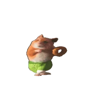 🥯 e0edbc99 แฮมสเตอร์, โดนัท, ตลก, น่ารัก, สัตว์ telegram sticker
