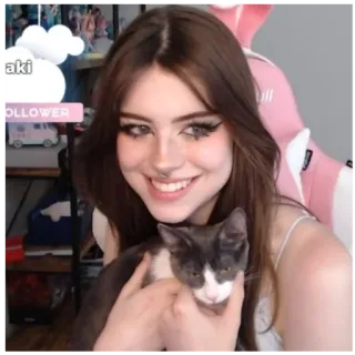 💒 9e6c72d2 woman, cat, cute, pet, girl telegram sticker