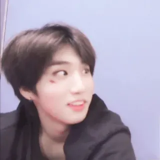 🐿 1ec796bf telegram sticker