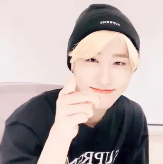 🐿 3095c426 telegram sticker