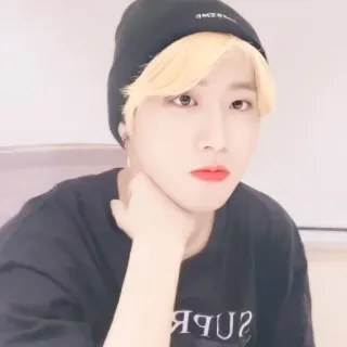 🐿 767f1113 telegram sticker