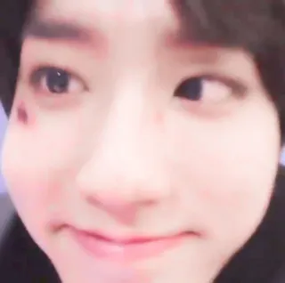 🐿 a50fa673 telegram sticker